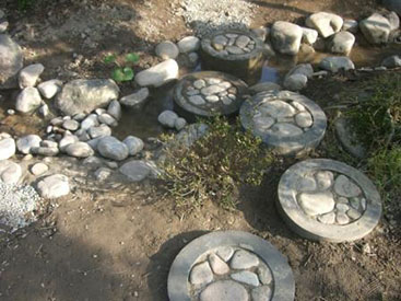 水の流れを楽しむ回遊式庭園