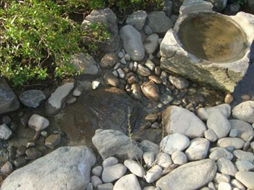 水の流れを楽しむ回遊式庭園